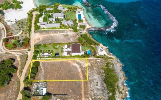 L Cal 5 – ref. 2161