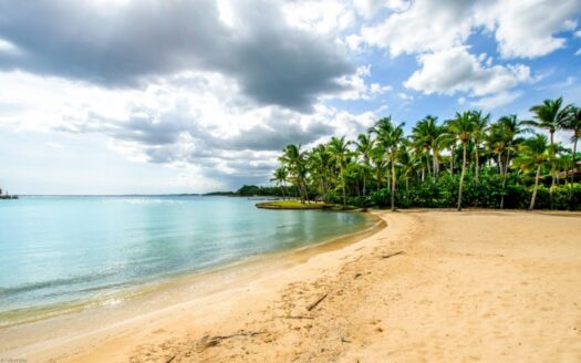 Unique beachfront property – ref. 2061