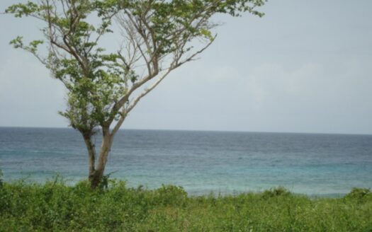 Caleton Lots on SALE