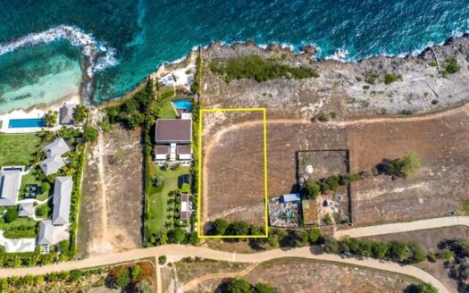 L Cal 5 – ref. 2161